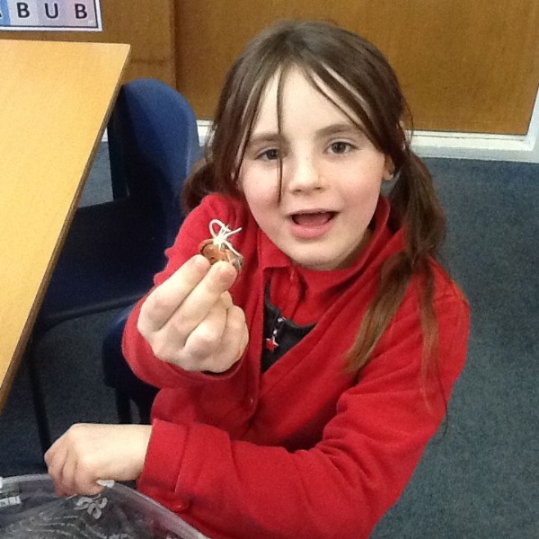 Seed Germination