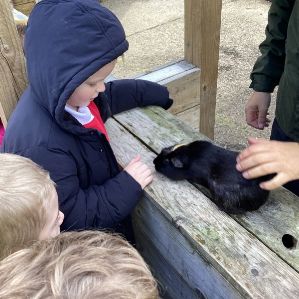 Reception Trip to Exotic Zoo